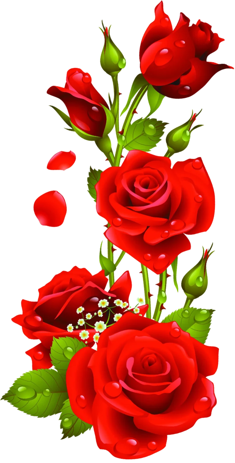 bear-hugs-sro-blog-povidani-clanky-zajimavosti-webdesign-rok-2026-png-zdarma